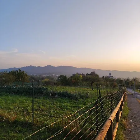 Chalet Vista Panoramica キャンプ場